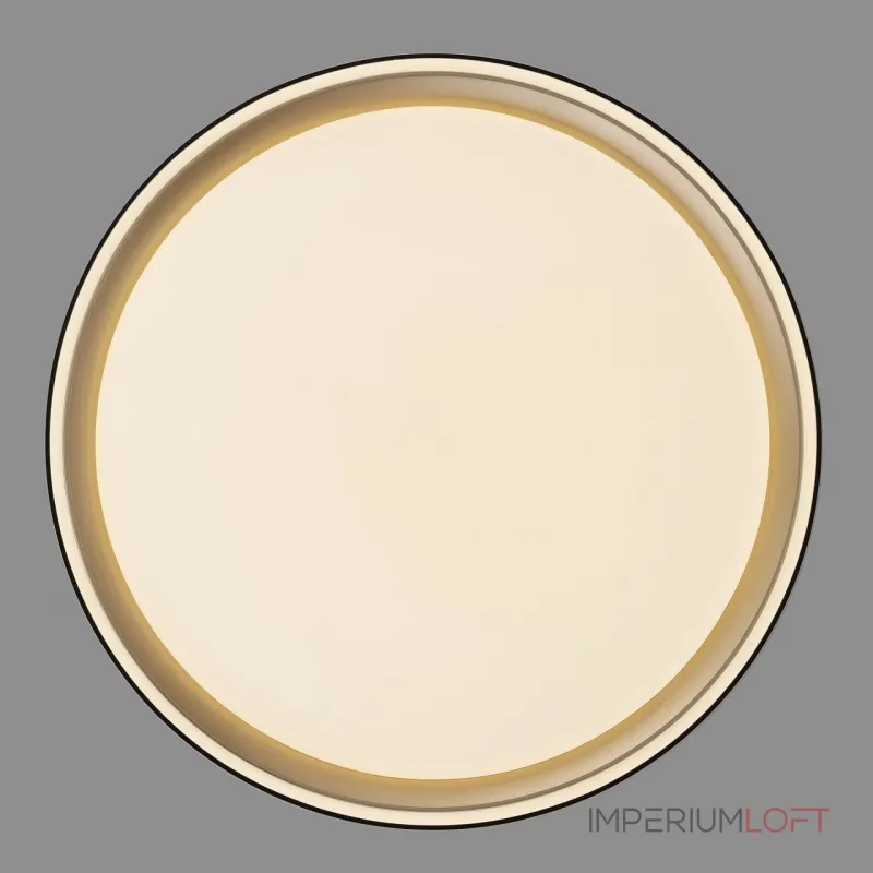 Накладной светильник Citilux BOSS CL751251G