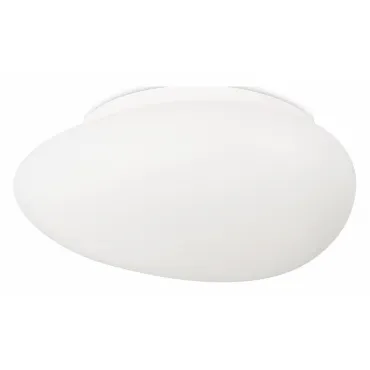 Потолочный светильник SIMPLE STORY 1205 1205-LED12CL