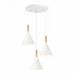 Подвесной светильник EVOLUCE Arket SLE1255-513-03 от ImperiumLoft