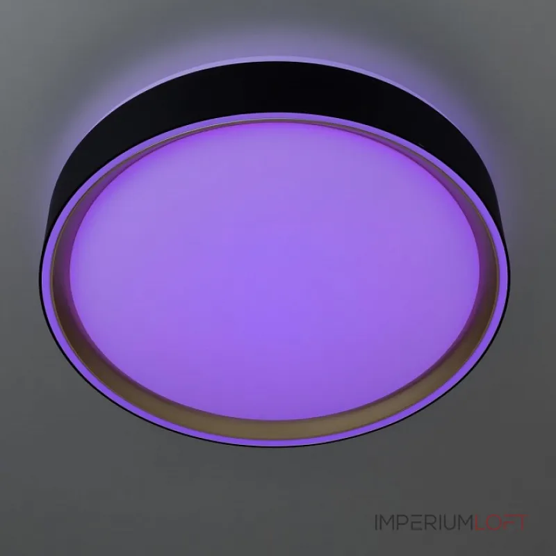 Накладной светильник Citilux BOSS CL751251G