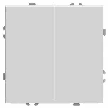 Выключатель двухклавишный без рамки Stekker RSW10-5107-01 49869 Выключатель двухклавишный без рамки Stekker RSW10-5107-01 49869