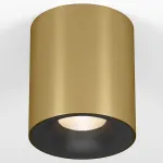 Накладной светильник Elektrostandard Primo 25116/LED