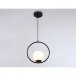 Подвесной светильник TR2592 BK черный E27 max 60W 300*150*1000 от NovaLamp