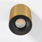 Накладной светильник Elektrostandard Primo 25116/LED