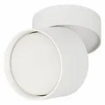 Светильник на штанге Эра OL12 GX53 SWH Б0049035