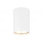 Накладной точечный светильник GU5.3 TN213108 WH белый GU5.3 D55*100 от NovaLamp Накладной точечный светильник GU5.3 TN213108 WH белый GU5.3 D55*100 от NovaLamp