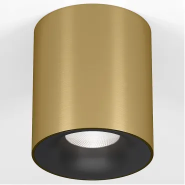 Потолочный светильник Elektrostandard Primo 25116/LED Потолочный светильник Elektrostandard Primo 25116/LED