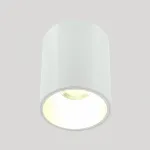 Накладной светильник LIGHTERA Shamrock LE201CL-1WA от ImperiumLoft