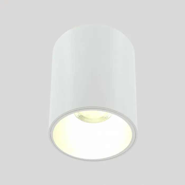 Накладной светильник LIGHTERA Shamrock LE201CL-1WA от ImperiumLoft