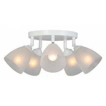 Потолочная люстра VitaLuce V4355 V4355-0/5PL