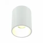 Накладной светильник LIGHTERA Shamrock LE201CL-1WA от ImperiumLoft