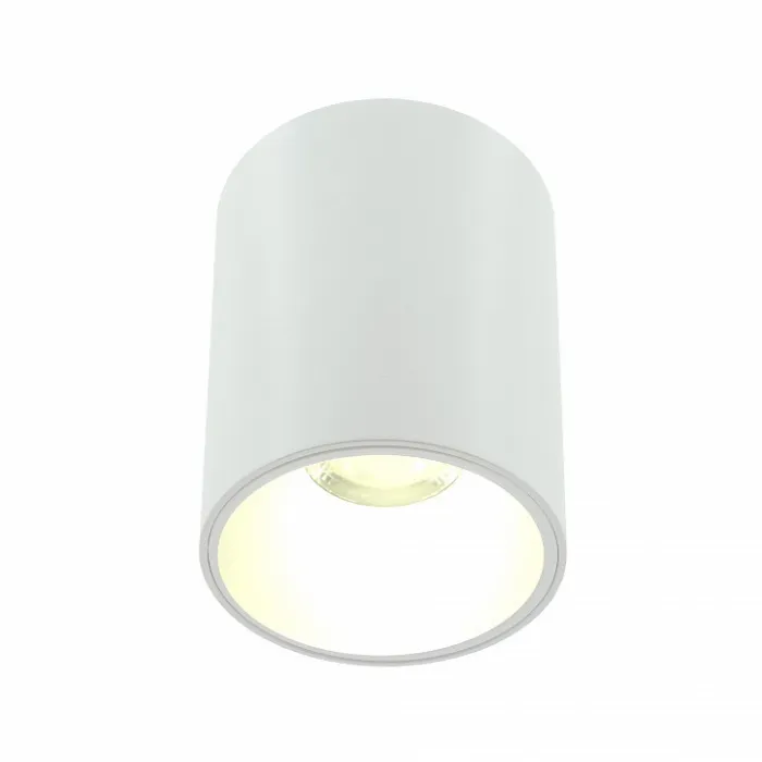 Накладной светильник LIGHTERA Shamrock LE201CL-1WA от ImperiumLoft