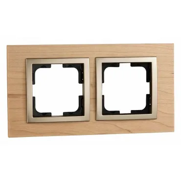 Рамка на 2 поста Mono Electric Style 107-520000-161