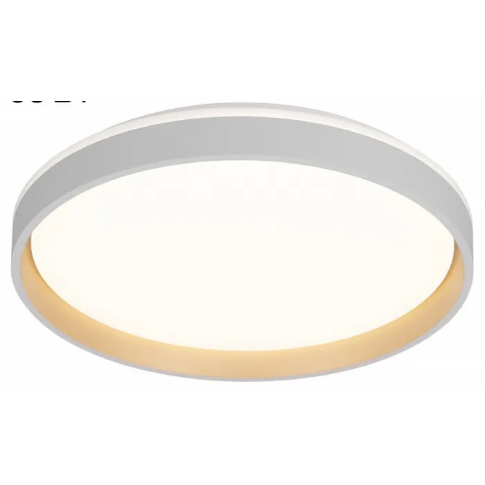 Накладной светильник Citilux ENZO CL753450G от ImperiumLoft