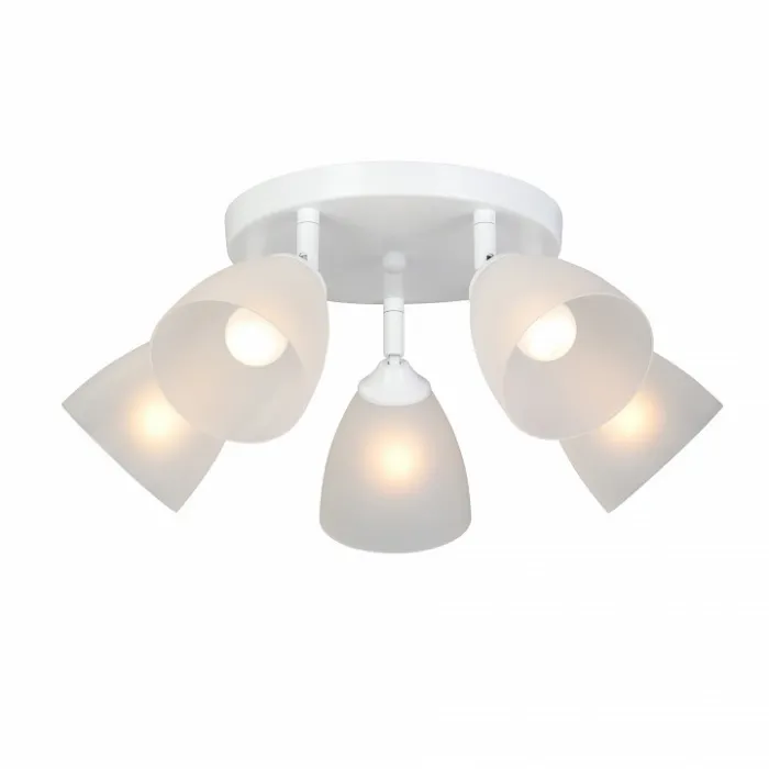 Потолочная люстра VitaLuce V4355 V4355-0/5PL от ImperiumLoft