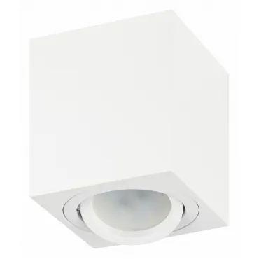 Потолочный светильник Эра OL22 WH Б0054394