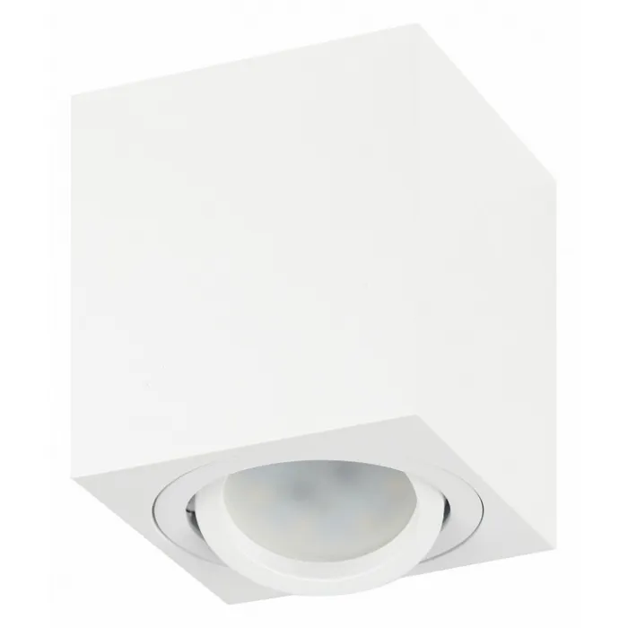 Накладной светильник Эра OL22 WH Б0054394 от ImperiumLoft