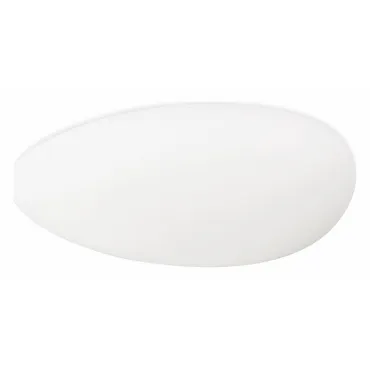 Потолочный светильник SIMPLE STORY 1205 1205-LED36CL