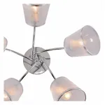 Потолочная люстра Rivoli Shirley Б0059982 Потолочная люстра Rivoli Shirley Б0059982