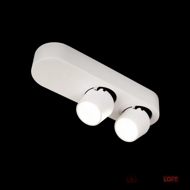 Накладной светильник Loft it Quiet 10320/2 White от ImperiumLoft