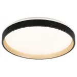 Накладной светильник Citilux ENZO CL753451G