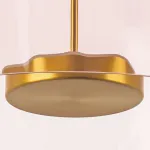 Накладной светильник Lightstar Celesta 809062 от ImperiumLoft