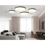 Светильник светодиодный потолочный FV5529 BK черный LED 45W 3000K D400*58 (Без ПДУ) от NovaLamp