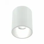 Накладной светильник LIGHTERA Shamrock LE201CL-1WB от ImperiumLoft