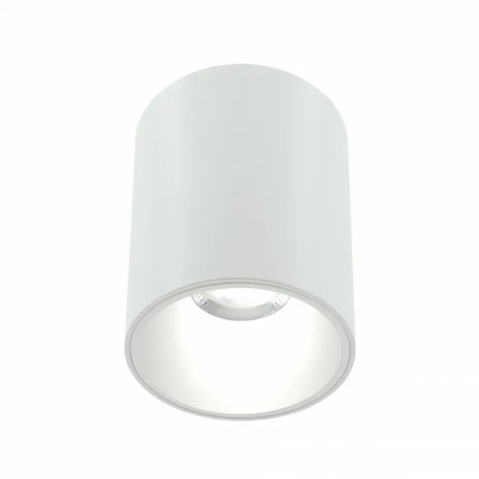 Накладной светильник LIGHTERA Shamrock LE201CL-1WB от ImperiumLoft