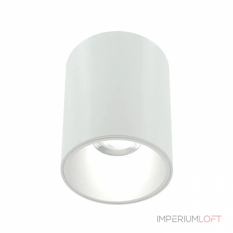 Накладной светильник LIGHTERA Shamrock LE201CL-1WB