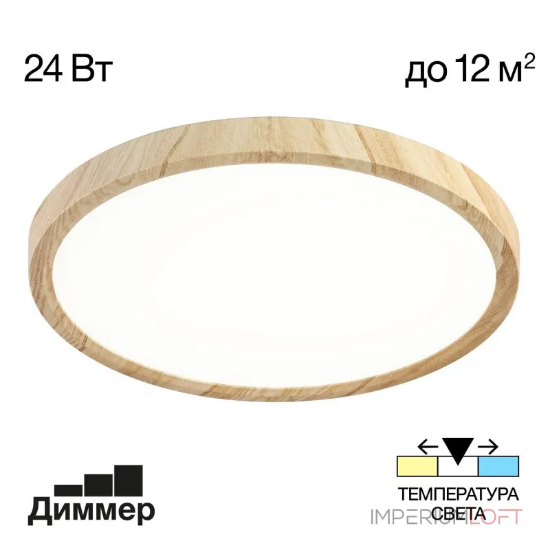 Накладной светильник Citilux Бейсик CL738242V