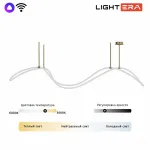 Светильник на штанге LIGHTERA Nyasa LE117L-150GB WIFI от ImperiumLoft