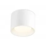 Накладной точечный светильник TN5321 WH белый GX53 D96*80 от NovaLamp
