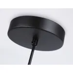 Подвесной светильник TR2598 BK черный E27 max 60W D150*1000 от NovaLamp