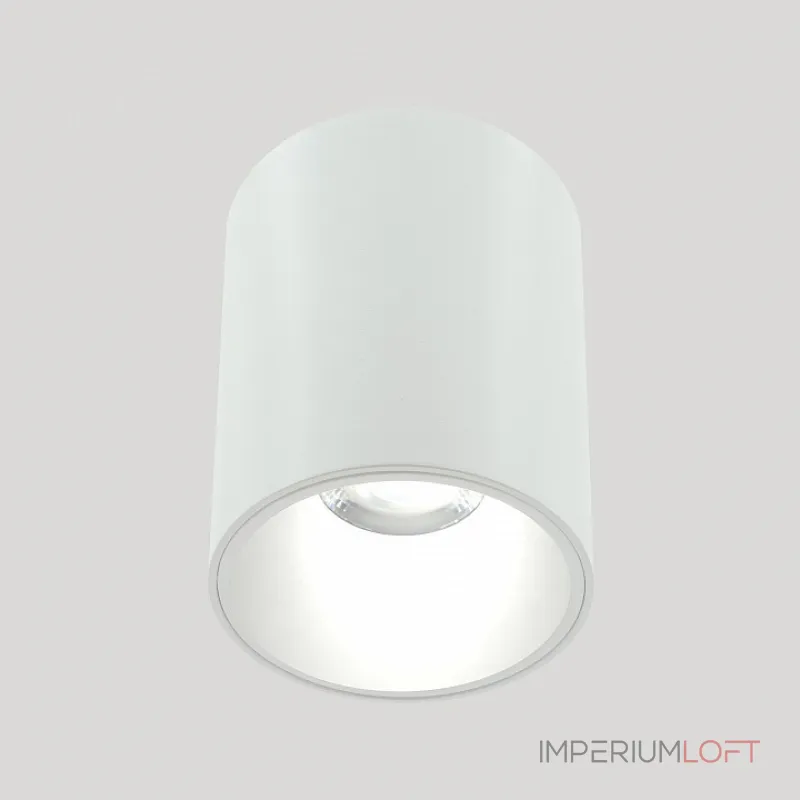 Накладной светильник LIGHTERA Shamrock LE201CL-1WB