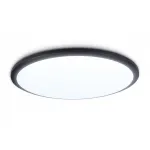Потолочный светодиодный светильник FZ1235 BK черный IP44 48W 6400К D450*55 (Без ПДУ) от NovaLamp