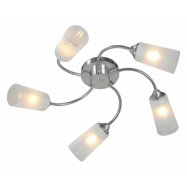 Потолочная люстра VitaLuce V2831 V2831-9/5PL