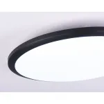 Потолочный светодиодный светильник FZ1235 BK черный IP44 48W 6400К D450*55 (Без ПДУ) от NovaLamp
