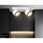 Светильник накладной TN71285/2 WH/BK белый/черный GX53/2 max 12W 270*95*137 от NovaLamp
