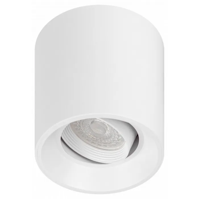 Накладной светильник Эра OL25-1 WH Б0054383 от ImperiumLoft