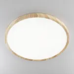Накладной светильник Citilux Бейсик CL738322V