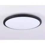 Потолочный светодиодный светильник FZ1235 BK черный IP44 48W 6400К D450*55 (Без ПДУ) от NovaLamp