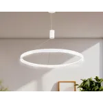Светильник подвесной светодиодный FL5855 WH белый 40W 3000K/4200K/6400K D800*860 (без ПДУ) от NovaLamp