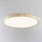 Накладной светильник Citilux Бейсик CL738322V