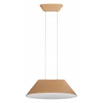 Подвесной светильник ST-Luce Sentito SL3001.713.01