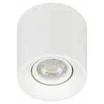 Накладной светильник Эра OL25-1 WH Б0054383 от ImperiumLoft