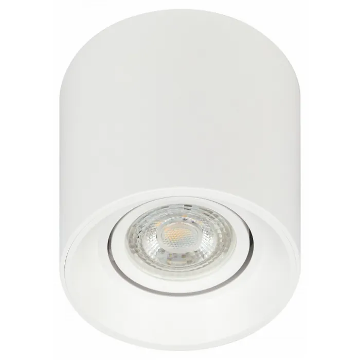 Накладной светильник Эра OL25-1 WH Б0054383 от ImperiumLoft