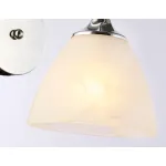 Настенный светильник TR3045 CH/FR хром/белый матовый E27 max 40W 215*135*225 от NovaLamp