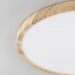 Накладной светильник Citilux Бейсик CL738322V