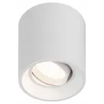 Накладной светильник Эра OL25-1 WH Б0054383 от ImperiumLoft